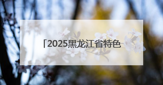 2025黑龙江省特色文化旅游推介会举行