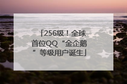 256级！全球首位QQ“金企鹅”等级用户诞生