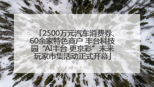 2500万元汽车消费券、60余家特色商户 丰台科技园“AI丰台 更京彩”未来玩家市集活动正式开幕