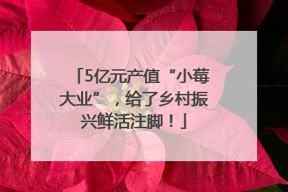 5亿元产值“小莓大业”，给了乡村振兴鲜活注脚！