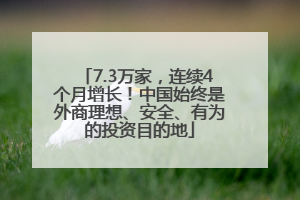 7.3万家，连续4个月增长！中国始终是外商理想、安全、有为的投资目的地