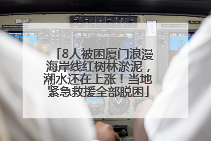 8人被困厦门浪漫海岸线红树林淤泥，潮水还在上涨！当地紧急救援全部脱困