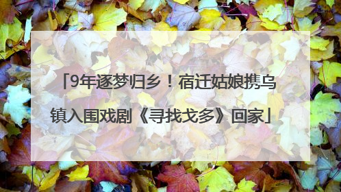 9年逐梦归乡！宿迁姑娘携乌镇入围戏剧《寻找戈多》回家