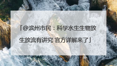 @滨州市民：科学水生生物放生放流有讲究 官方详解来了