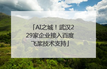 AI之城！武汉229家企业接入百度飞桨技术支持