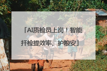 AI质检员上岗！智能扦检提效率、护粮安