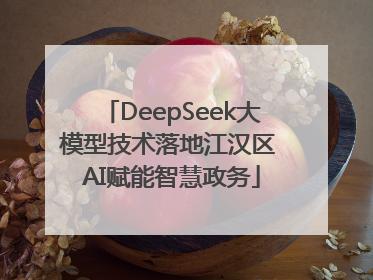 DeepSeek大模型技术落地江汉区 AI赋能智慧政务