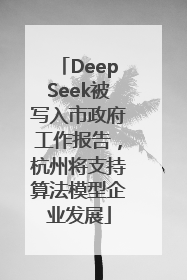 DeepSeek被写入市政府工作报告，杭州将支持算法模型企业发展