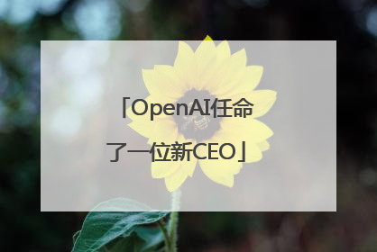 OpenAI任命了一位新CEO